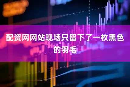 配资网网站现场只留下了一枚黑色的羽毛