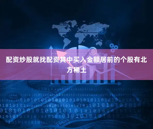 配资炒股就找配资其中买入金额居前的个股有北方稀土
