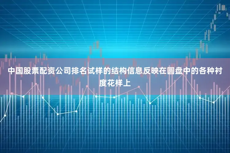 中国股票配资公司排名试样的结构信息反映在圆盘中的各种衬度花样上